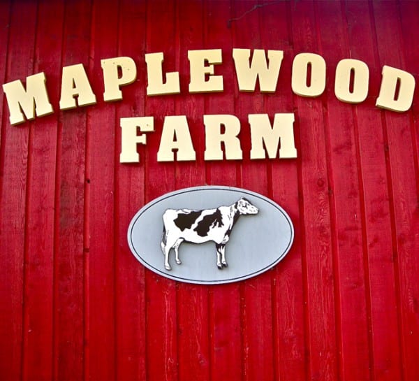 maplewood farm