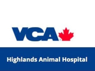 vca-animal-hospital2